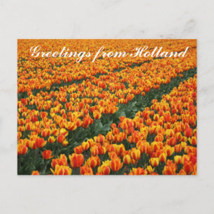 Postal "Saludos desde Holanda"