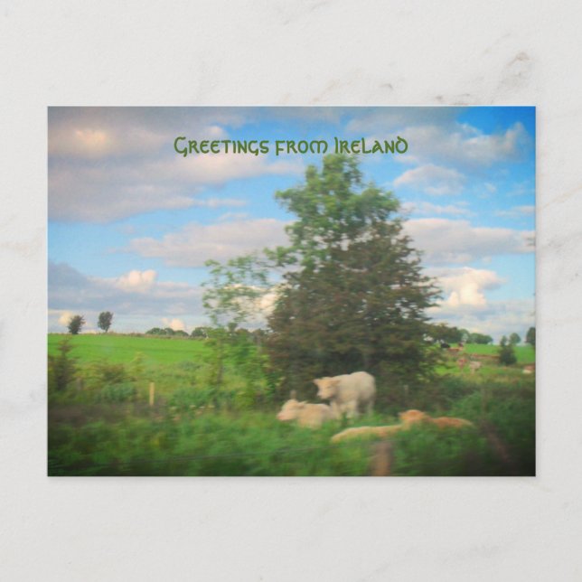 Postal Saludos desde Irlanda Fotografía (Anverso)