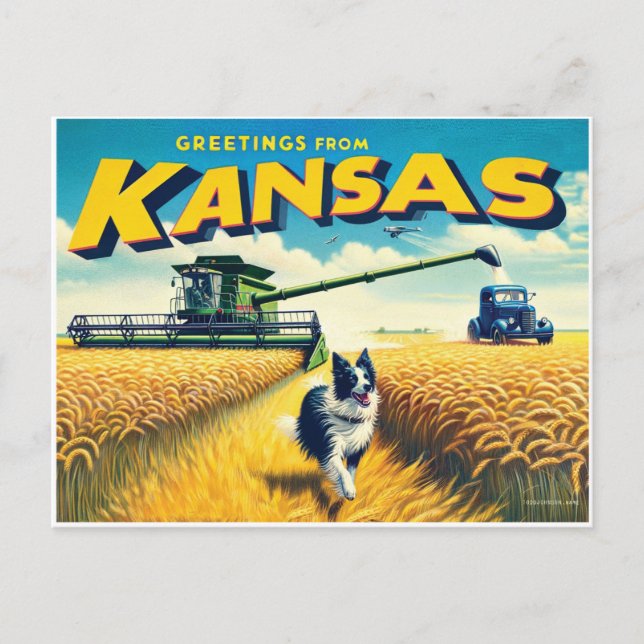 Postal Saludos desde Kansas Wheat Combina la frontera con (Anverso)