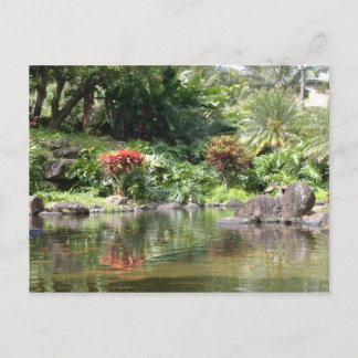 Postal Saludos Desde Kauai