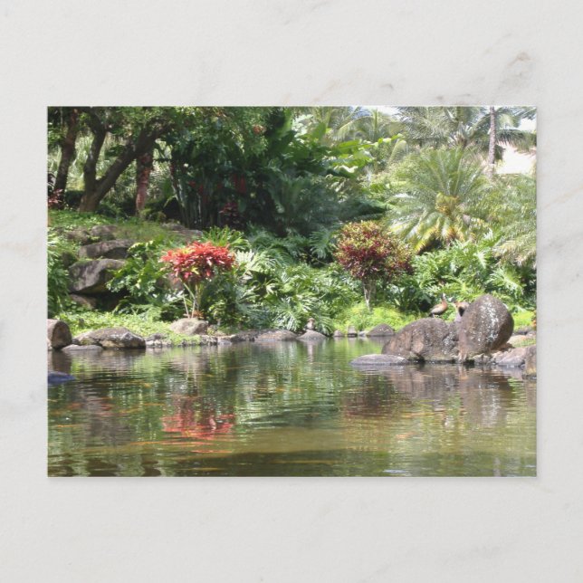Postal Saludos Desde Kauai (Anverso)
