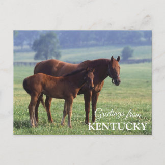 Postal saludos desde Kentucky