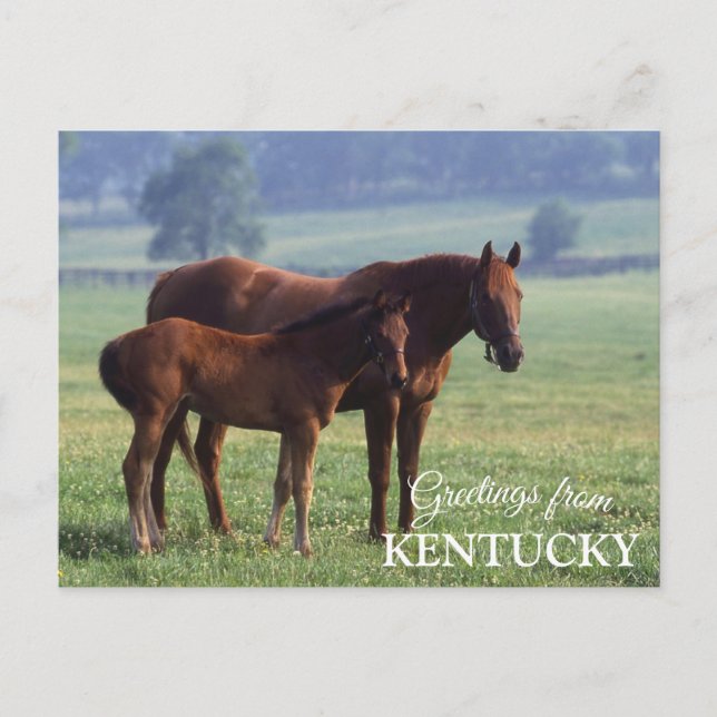Postal saludos desde Kentucky (Anverso)