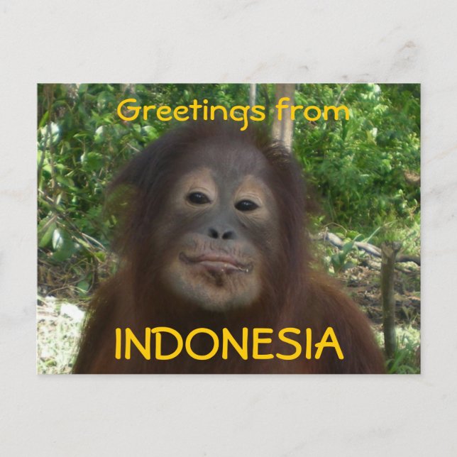 Postal Saludos desde la foto de INDONESIA (Anverso)