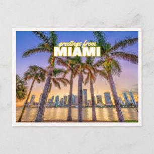 Postal Saludos desde la foto de la palmera retro de Miami