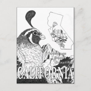 Postal Saludos Desde La Hermosa California