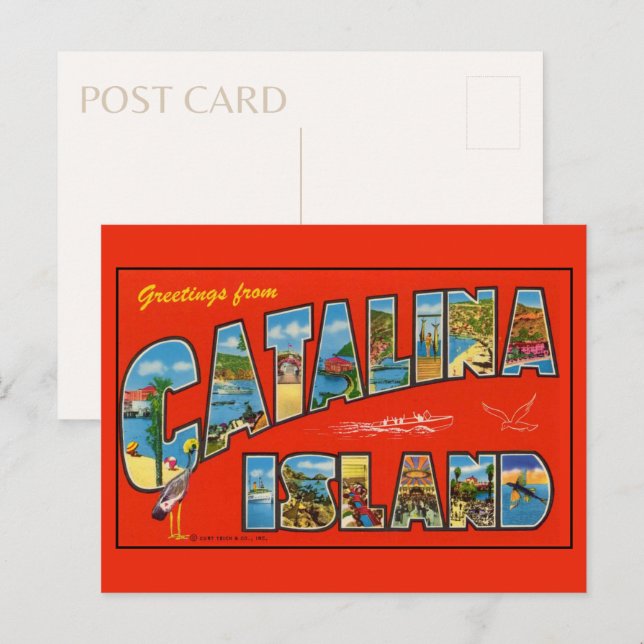 Postal Saludos desde la isla Catalina 1955 Vintage (Anverso / Reverso)