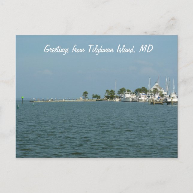 Postal Saludos desde la isla Tilghman, MD (Anverso)
