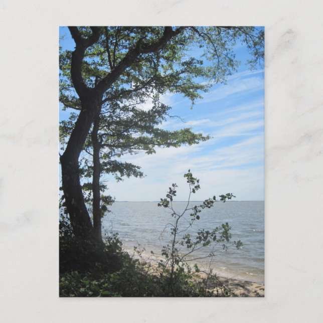 Postal ¡Saludos desde la playa! (Anverso)