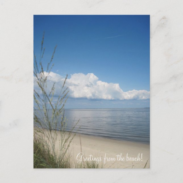 Postal ¡Saludos desde la playa! (Anverso)
