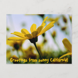 Postal ¡Saludos desde la soleada California!
