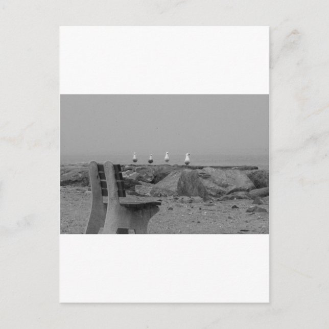 Postal Saludos desde Long Island, NY (Anverso)