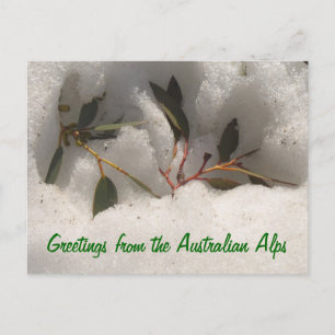 Postal Saludos desde los Alpes Australianos