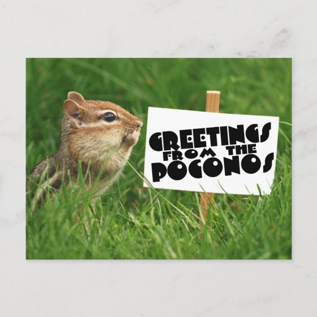 Postal ¡Saludos desde los Poconos! Chipmunk con Rótulo (Anverso)