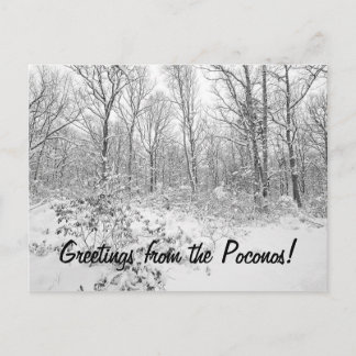 Postal Saludos desde los Poconos Snowy