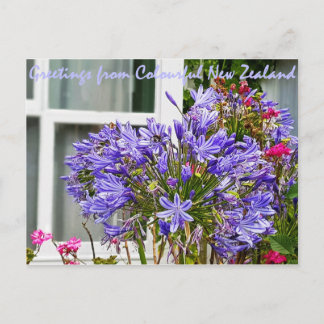 Postal Saludos desde Nueva Zelanda