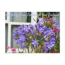 Saludos desde Nueva Zelanda