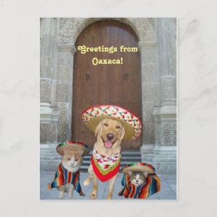 Postal Saludos desde Oaxaca