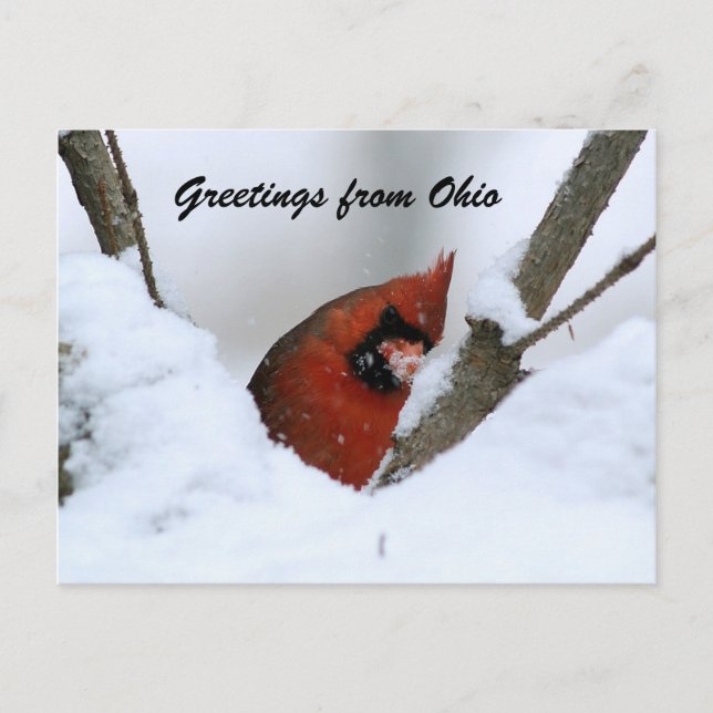 Postal Saludos desde Ohio (Anverso)