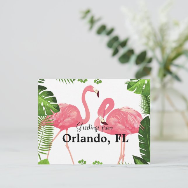 Postal Saludos desde Orlando, FL—flamencos rosados (Anverso de pie)