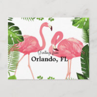 Saludos desde Orlando, FL—flamencos rosados
