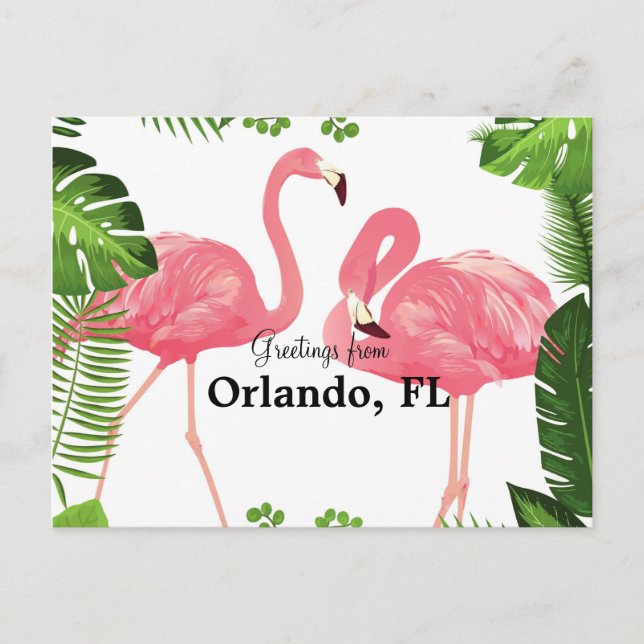 Postal Saludos desde Orlando, FL—flamencos rosados (Anverso)