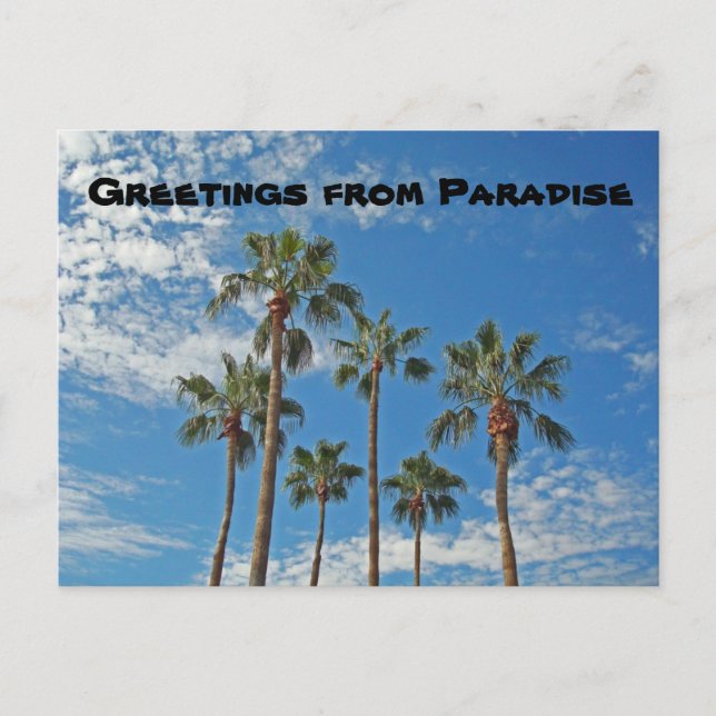 Postal Saludos desde Paradise Palm Trees Blue Sky Island (Anverso)