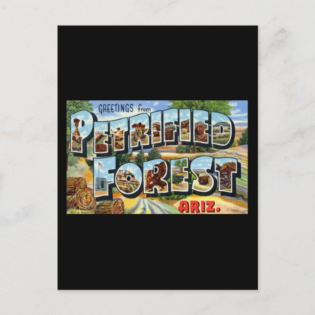 Postal Saludos desde Petrified Forest Arizona (Anverso)