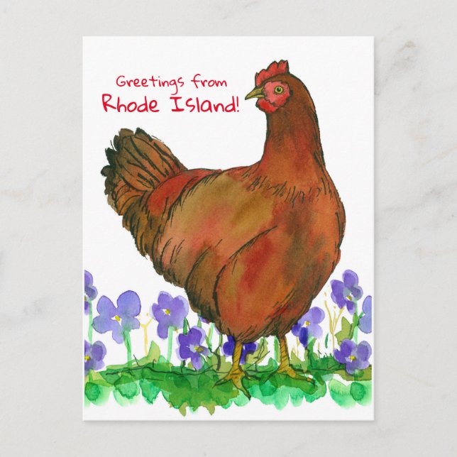 Postal Saludos desde Rhode Island Red Hen Violets (Anverso)