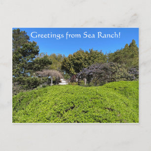 Postal ¡Saludos desde Sea Ranch!