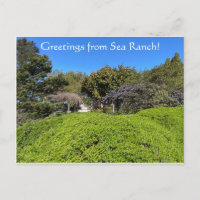 ¡Saludos desde Sea Ranch!
