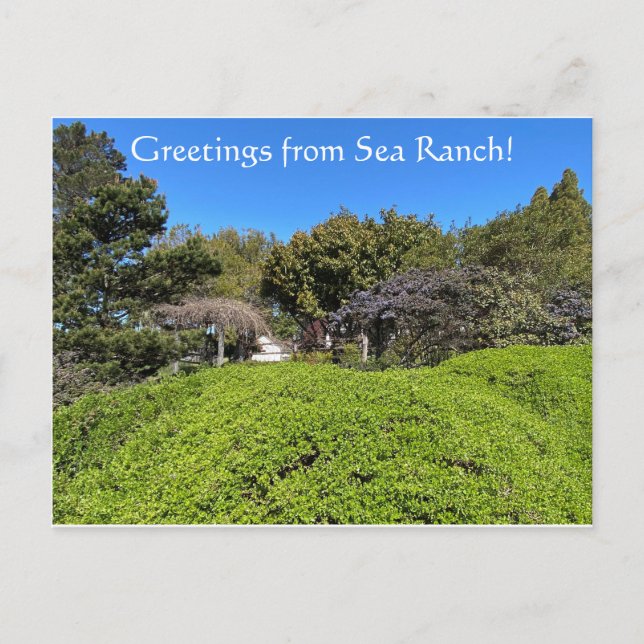 Postal ¡Saludos desde Sea Ranch! (Anverso)