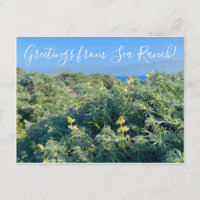 ¡Saludos desde Sea Ranch!