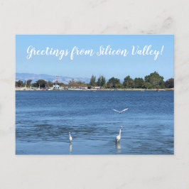 Postal ¡Saludos desde Silicon Valley!