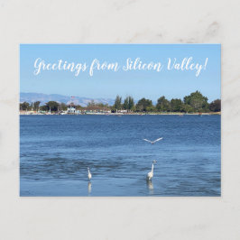 Postal ¡Saludos desde Silicon Valley!