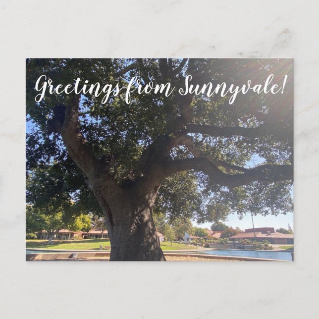 Postal ¡Saludos desde Sunnyvale! (Anverso)