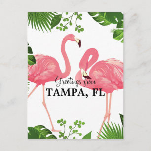 Postal Saludos desde Tampa, FL