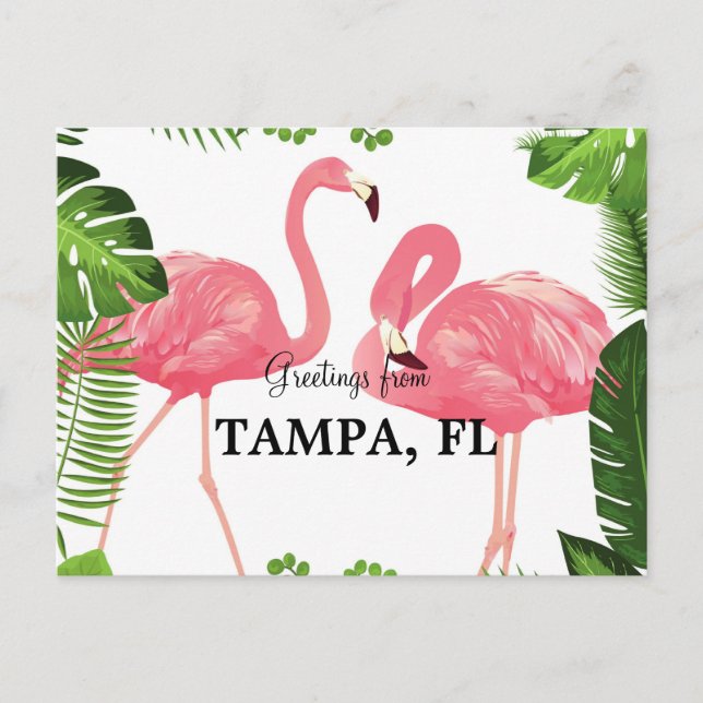 Postal Saludos desde Tampa, Florida (Anverso)