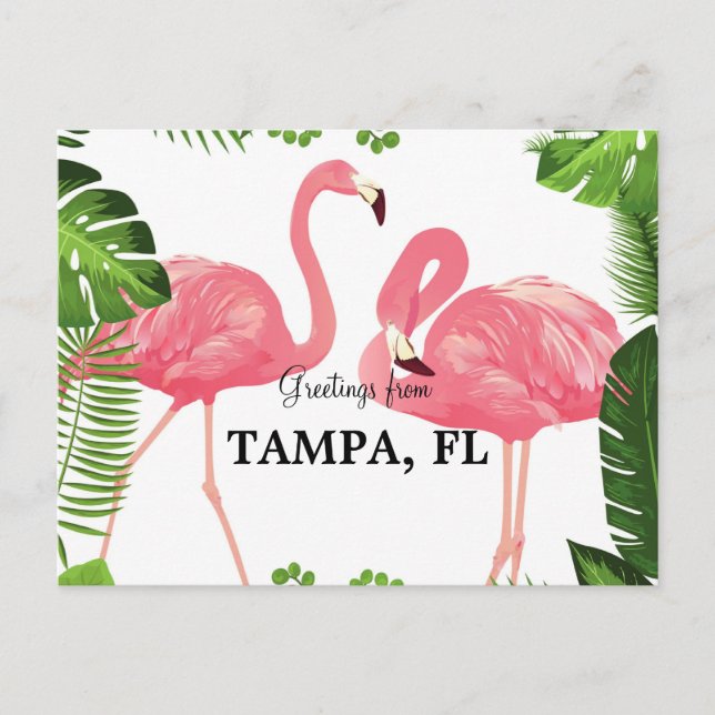 Postal Saludos desde Tampa, Florida (Anverso)