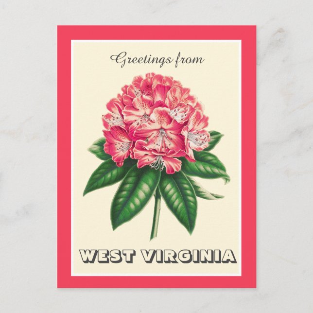 Postal Saludos desde Virginia Occidental Rhododendron (Anverso)