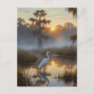 Postal Saludos en el Parque Nacional Everglades por la ma