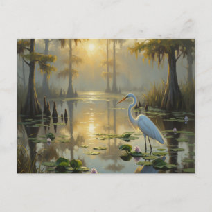 Postal Saludos en el Parque Nacional Everglades por la ma