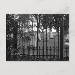 Postal ¡Saludos en el patio de césped! - Postcard #1