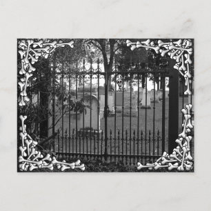 Postal ¡Saludos en el patio de césped! - Postcard #2