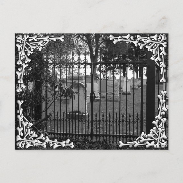 Postal ¡Saludos en el patio de césped! - Postcard #2 (Anverso)