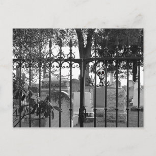 Postal ¡Saludos en el patio de césped! - Postcard #3