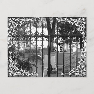 Postal ¡Saludos en el patio de césped! - Postcard #4