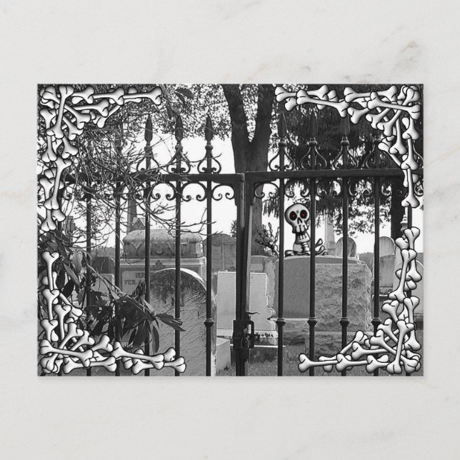 Postal ¡Saludos en el patio de césped! - Postcard #4 (Anverso)
