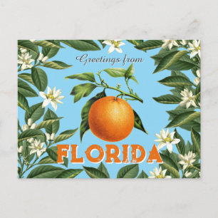 Postal Saludos Retro Vintage de la Naranja Fruta de Flori