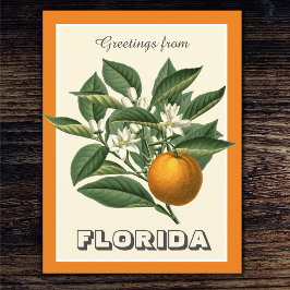 Postal Saludos vintage de la fruta Naranja de Florida